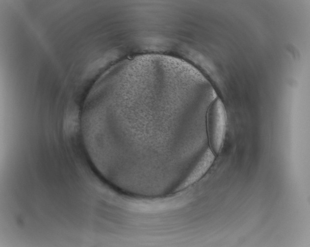 X0000113610017200910091551