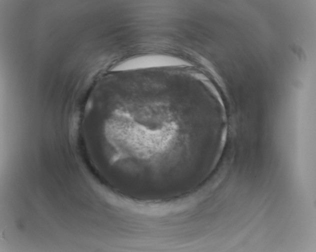 X0000113610018200910091551