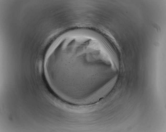 X0000113610019200910091551