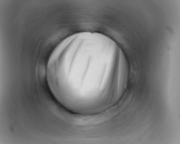 X0000113610021200910091551