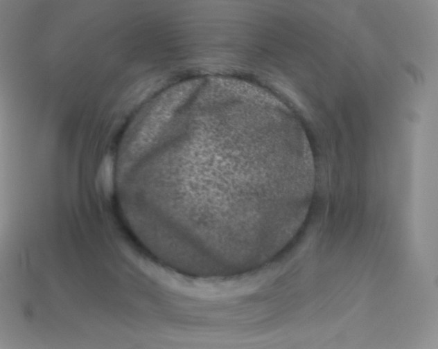 X0000113610022200910091551