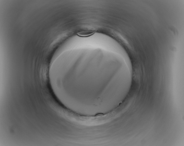 X0000113610023200910091551