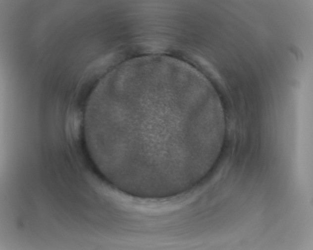 X0000113610026200910091551