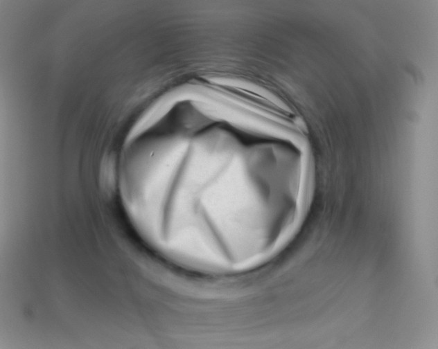 X0000113610028200910091551