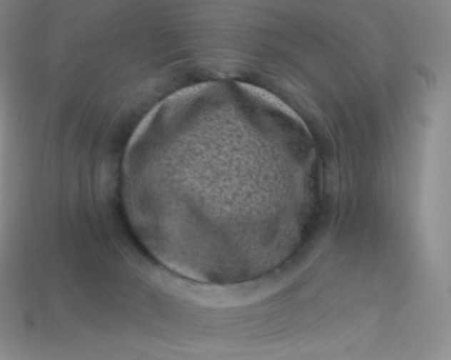 X0000113610030200910091551