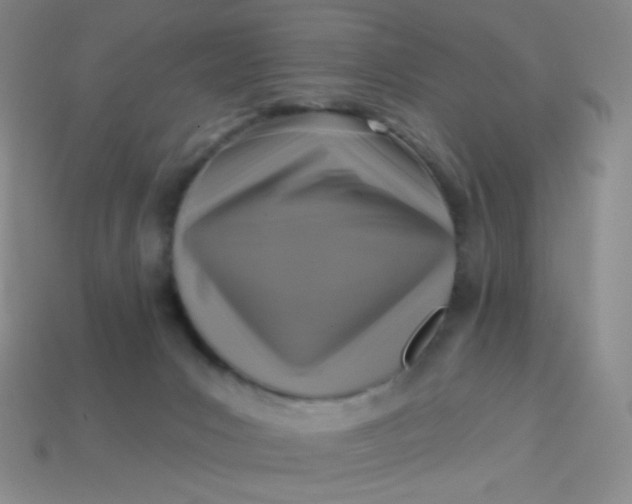 X0000113610031200910091551