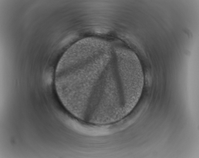 X0000113610032200910091551