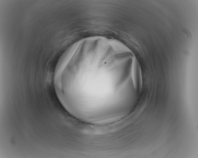 X0000113610033200910091551