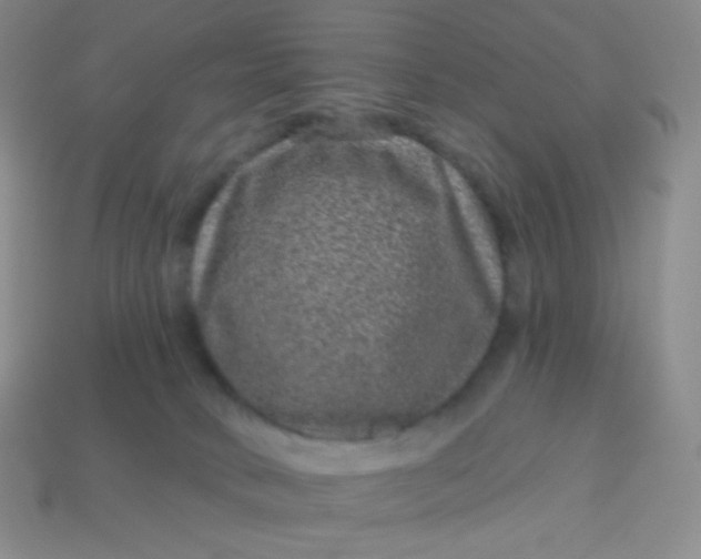 X0000113610034200910091551