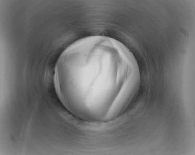 X0000113610037200910091551