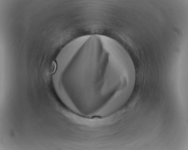 X0000113610039200910091551