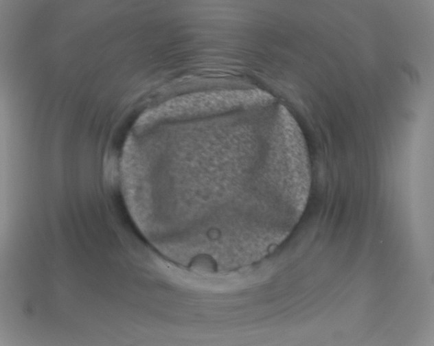 X0000113610042200910091550