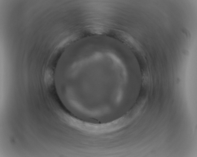 X0000113610043200910091550