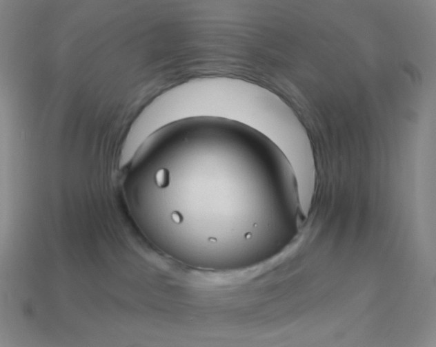 X0000113610045200910091550