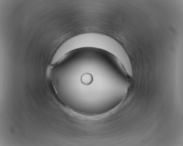 X0000113610047200910091550