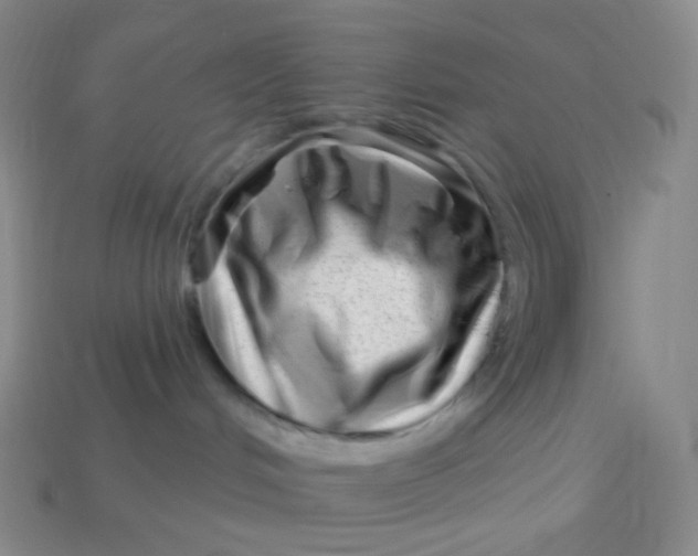 X0000113610048200910091550