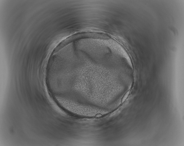 X0000113610049200910091550