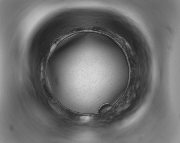 X0000113610050200910091550