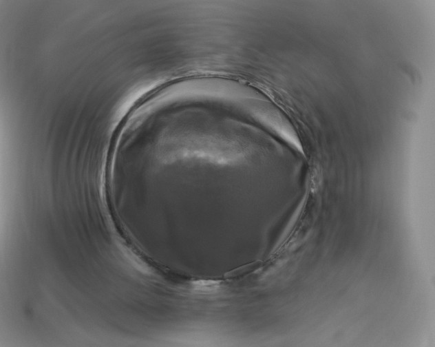 X0000113610052200910091550