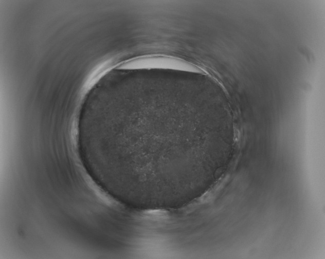 X0000113610053200910091550