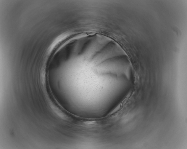 X0000113610054200910091550