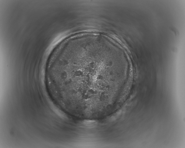 X0000113610055200910091550