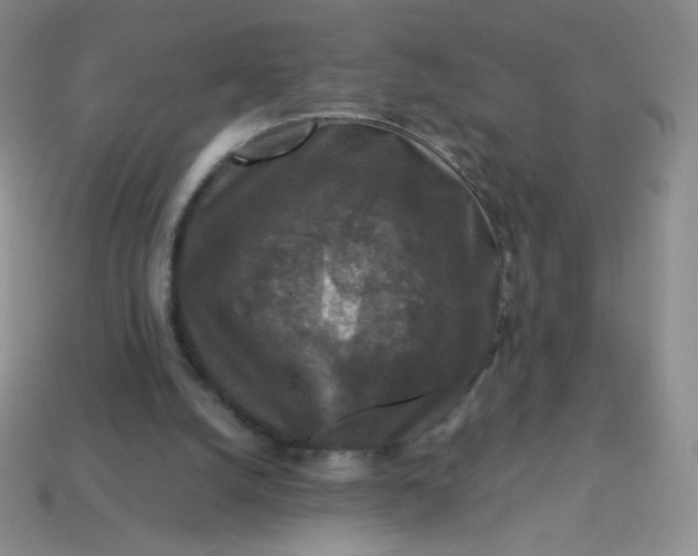 X0000113610056200910091550