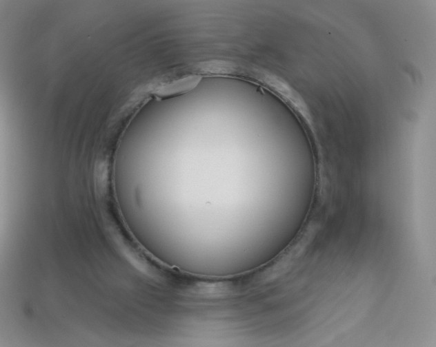 X0000113610057200910091550