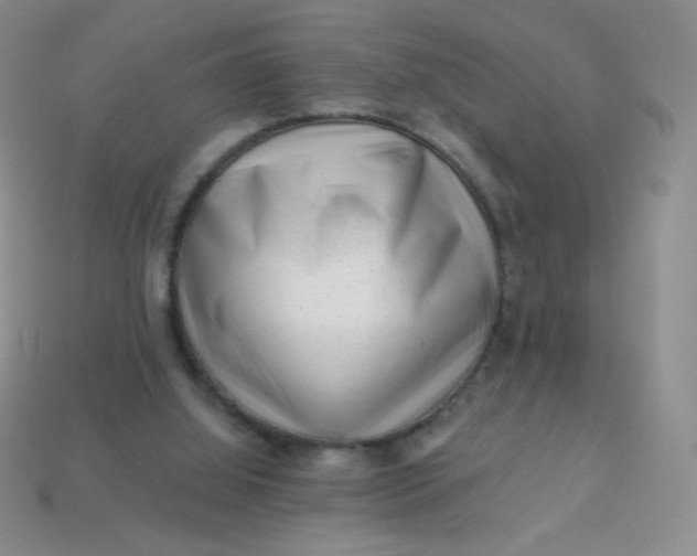 X0000113610060200910091550