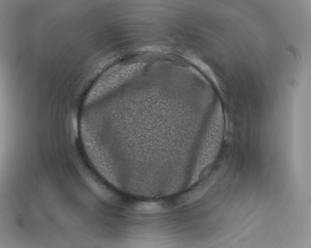 X0000113610061200910091550