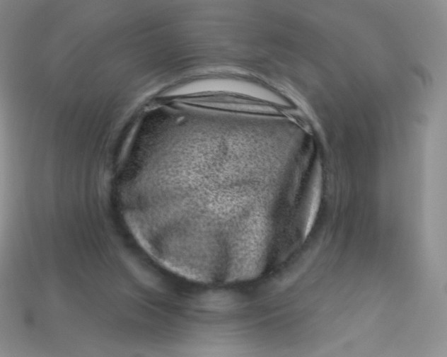 X0000113610063200910091550