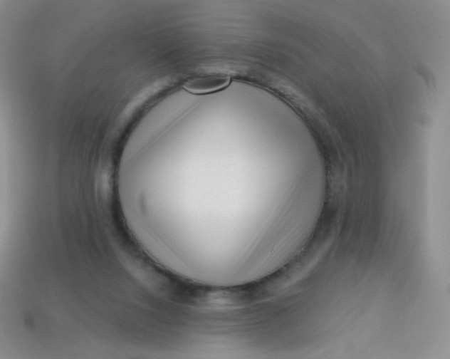 X0000113610064200910091550