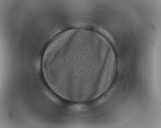 X0000113610065200910091550