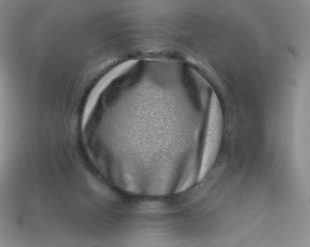 X0000113610066200910091550