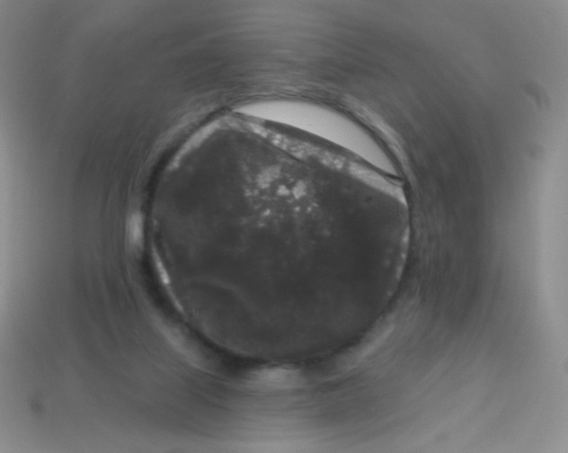 X0000113610067200910091550