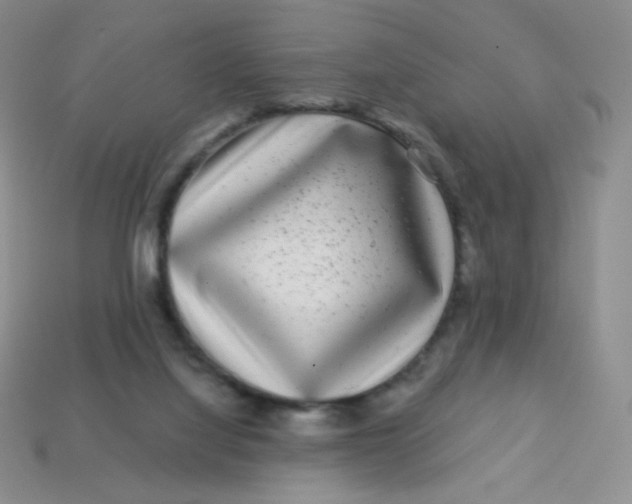 X0000113610068200910091550