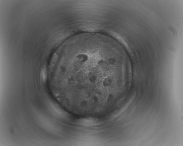 X0000113610069200910091550