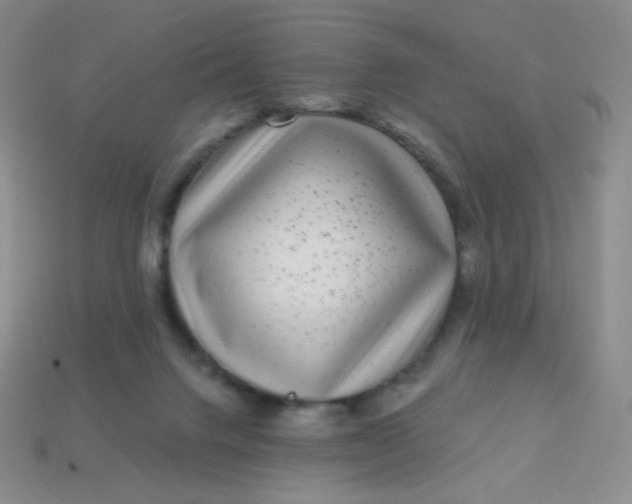 X0000113610072200910091550