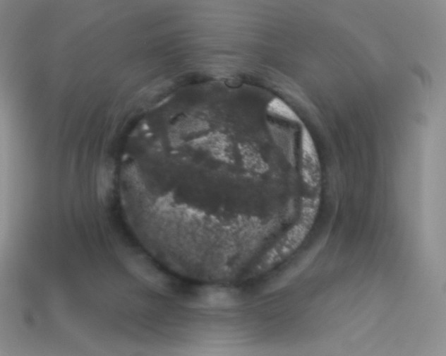 X0000113610073200910091550