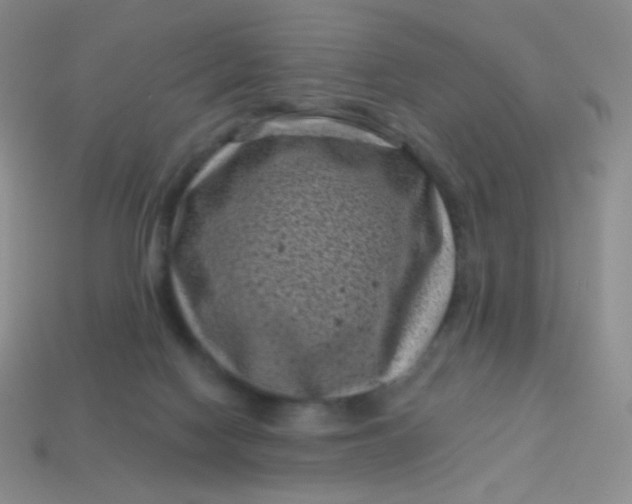 X0000113610074200910091550