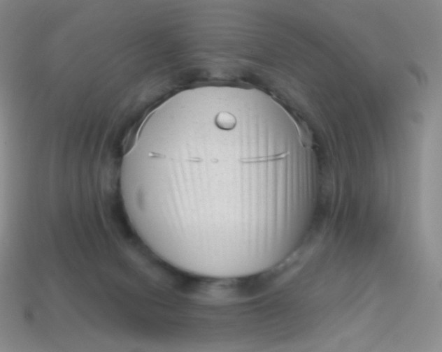 X0000113610078200910091550