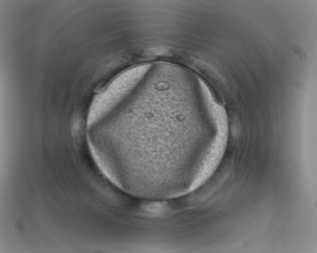 X0000113610079200910091550