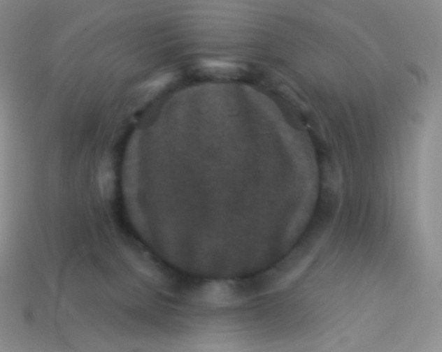 X0000113610080200910091550