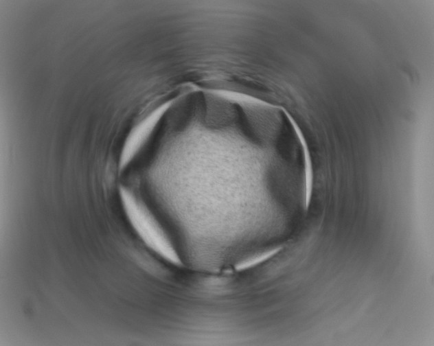 X0000113610081200910091550