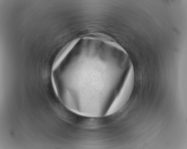 X0000113610082200910091550