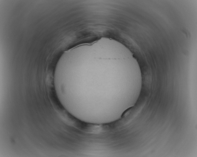 X0000113610083200910091550