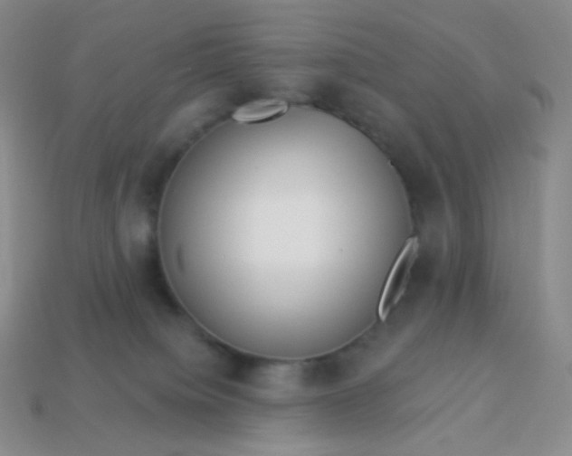 X0000113610084200910091550