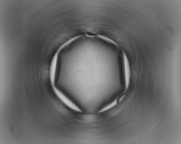 X0000113610085200910091550