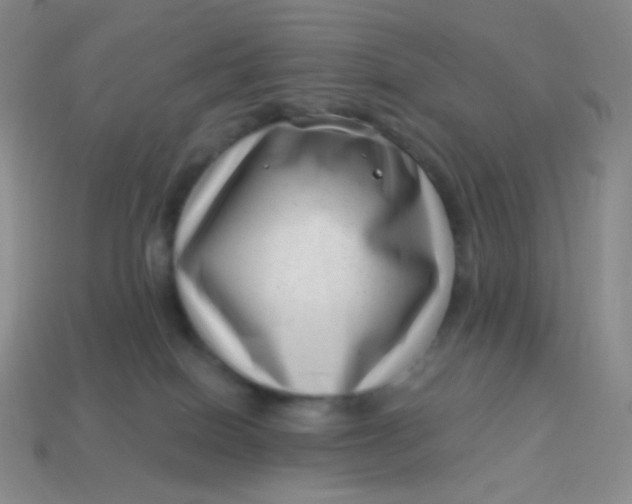 X0000113610086200910091550