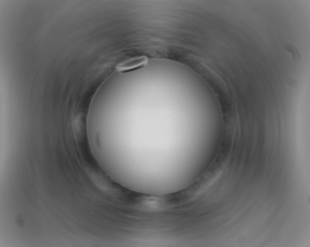 X0000113610088200910091550